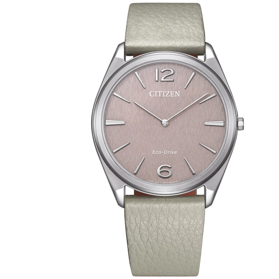 Citizen AR3120-41X