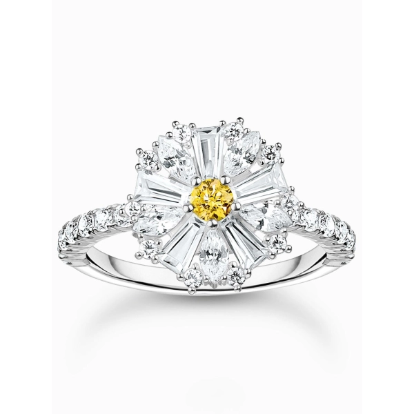 Thomas Sabo TR2493-051-4-54