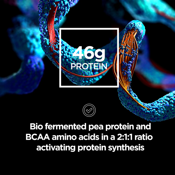 Raw Sport Elite Plant Mass Gainer 2,5kg - chocolate fudge | Hodky.cz