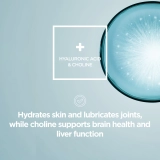 Raw Sport Collagen Building Protein Peptides 840g - čokoláda - vanilka | Hodky.cz